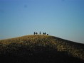 /album/cabalgata-serana/folleto-034-jpg/